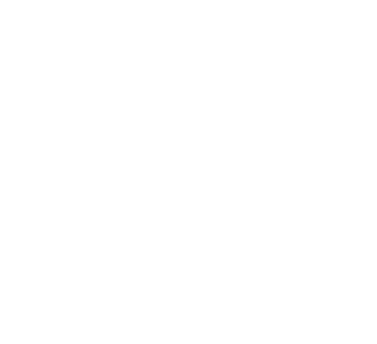 DIIN_Logo_Stacked_F_rev.png